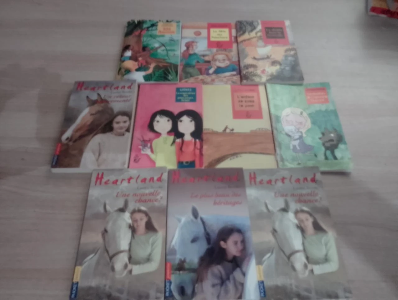 Lot de 10 livres de poches divers (2.99 les 10)(37)